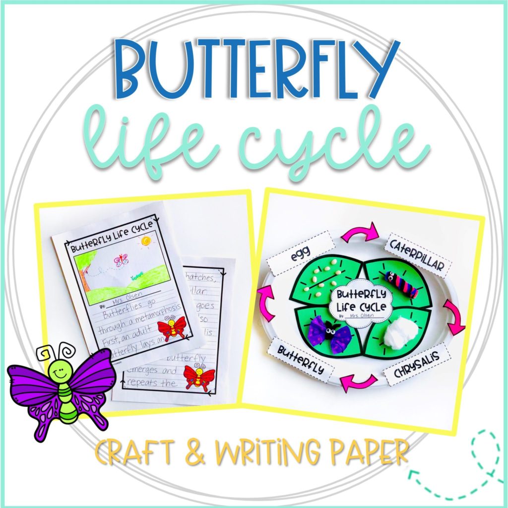 Printable Butterfly Spinner Activity