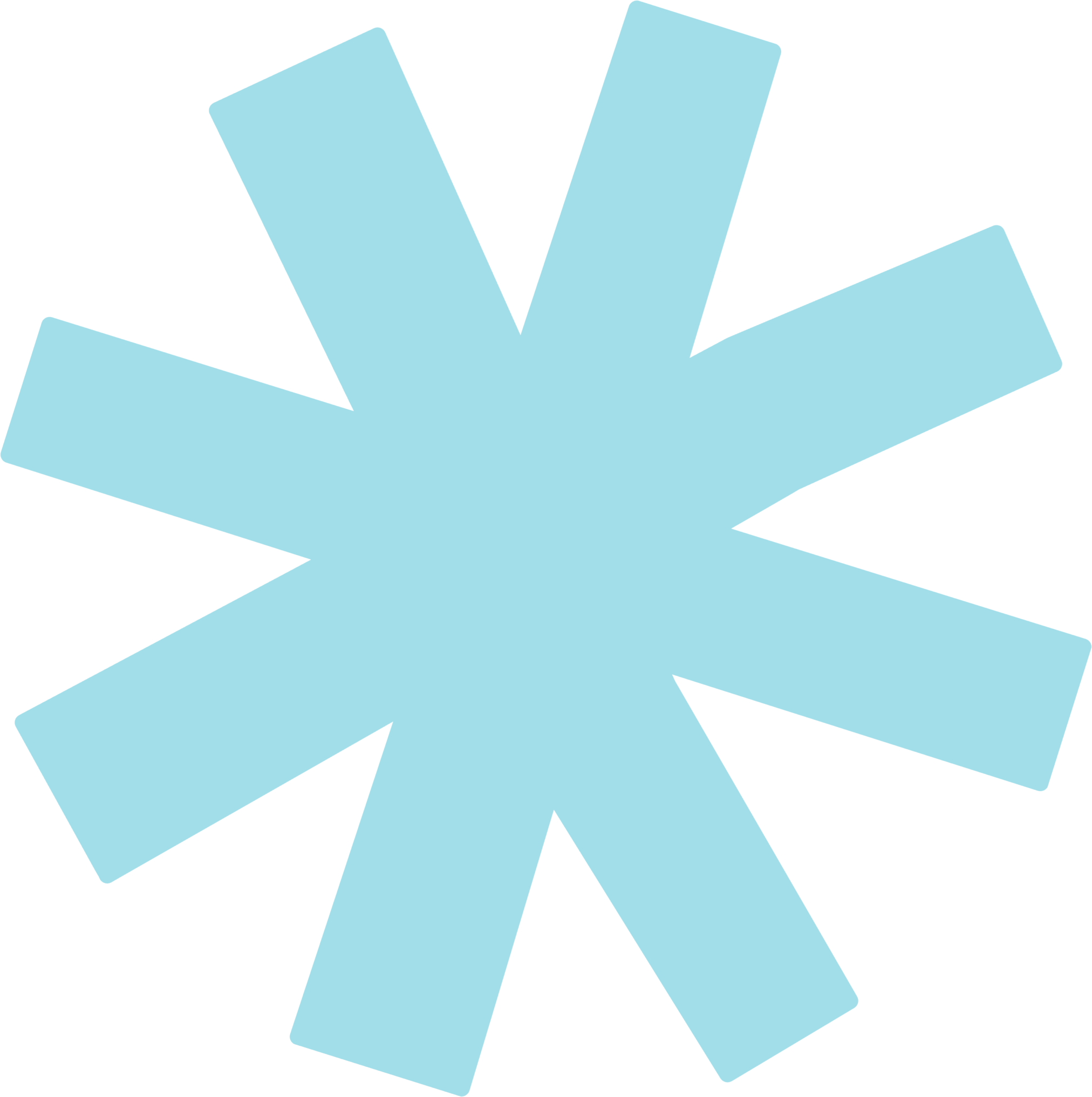A large, light blue asterisk symbol with eight arms on a white background.
